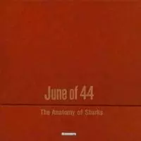 JUNE OF 44 / ANATOMY OF SHARKS