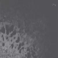 ZOND / ZOND