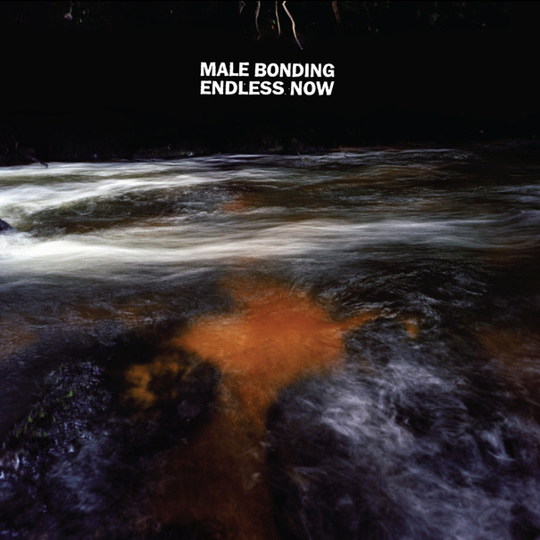 MALE BONDING / メイル・ボンディング / ENDLESS NOW (LP)