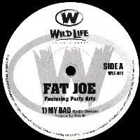 FAT JOE / ファット・ジョー / MY BAD