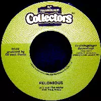 FELONIOUS / IT'S NOT THE SAME