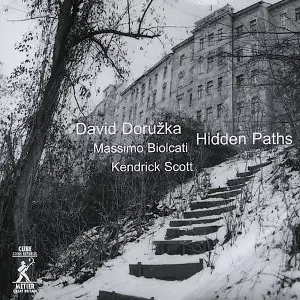 DAVID DORUZKA / ダヴィド・ドルージュカ / Hidden Paths