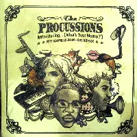PROCUSSIONS / プロカッションズ / INTRODUCING MY NAME IS SHIN-SKI REMIX