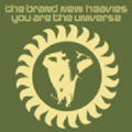 BRAND NEW HEAVIES / ブラン・ニュー・ヘヴィーズ / YOU ARE THE UNIVERSE
