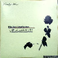 FUNKY DL / WHEN LOVE IS BREAKING DOWN