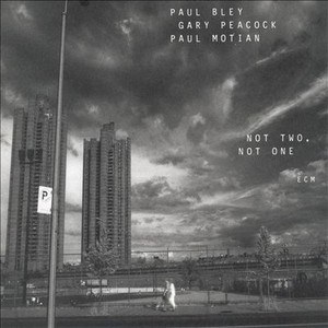 PAUL BLEY & GARY PEACOCK & PAUL MOTIAN / ポール・ブレイ&ゲイリー・ピーコック&ポール・モチアン / Not Two Not One