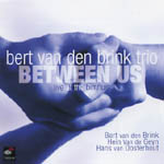 BERT VAN DEN BRINK / ベルト・ファン・デン・ブリンク / BETWEEN US