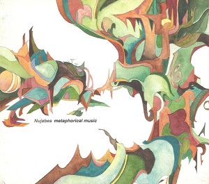 Nujabes / ヌジャベス / metaphorical music