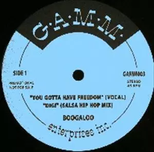 You Gotta Have Freedom - Boogaloo (Vinyl Album 2003