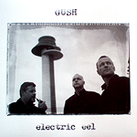 GUSH / ELECTRIC EEL