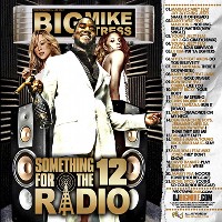 DJ BIG MIKE / SOMETHING FOR THE RADIO 12