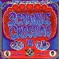 D.L a.k.a. BOBO JAMES / SCRAMBLE CROSSING 3