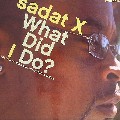 SADAT X / サダトX / WHAT DID I DO?