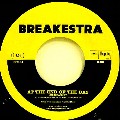 BREAKESTRA / ブレイケストラ / AT THE END OF THE DAY