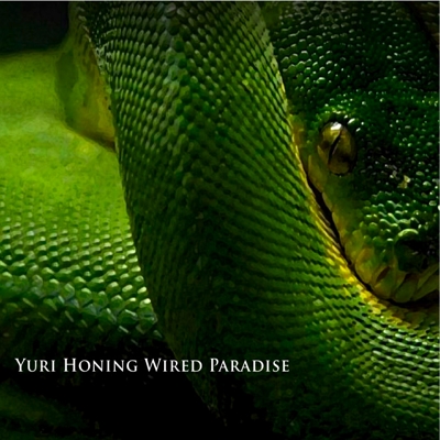 YURI HONING / ユリ・ホニング / Wired Paradise(2CD)