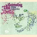 RICH MEDINA / CONNECTING THE DOTS