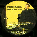 ERIC GADD / エリック・ガッド商品一覧｜ディスクユニオン・オンライン