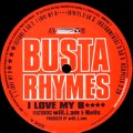 BUSTA RHYMES / バスタ・ライムス / I LOVE MY BITCH