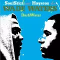 WADE WATERS / DARKWATER
