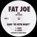FAT JOE / ファット・ジョー / DAMN WE GETTIN MONEY