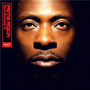 SOUL SURVIVOR 2/PETE ROCK｜HIPHOP/R&B｜ディスクユニオン