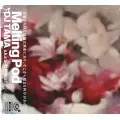 DJ TAMA / MELTING POD