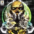 DEV LARGE aka D.L. / 鋼鉄のBLACK