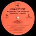 PROJECT PAT / RAISED IN THE PROJECTS