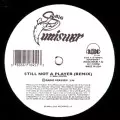 BIG PUN (BIG PUNISHER) / ビッグ・パン / STILL NOT A PLAYER (REMIX)