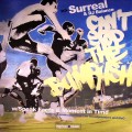 SURREAL / CAN'T STOP THE BUMRUSH