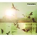 PRECISE HERO / プリサイズ・ヒーロー / PARTICLE (MOMENTS)