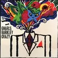 GNARLS BARKLEY / ナールズ・バークレイ / CRAZY