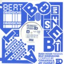 V.A. (BEAT DIMENSIONS compiled by CINNAMAN & JAY SCARLETT) / PAPER CHASER