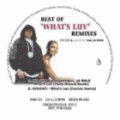 FAT JOE / ファット・ジョー / BEST OF WHAT'S LUV REMIXES