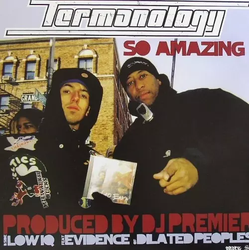 TERMANOLOGY / ターマノロジー / SO AMAZING