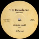DJ FORMAT / DJフォーマット / STEALIN' JAMES