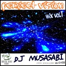 DJ MUSASABI / PERFECT VISION VOL.1