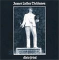 JAMES LUTHER DICKINSON / ジェイムス・ルーサー・ディッキンソン / DIXIE FRIED