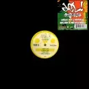 DEL THE FUNKY HOMOSAPIEN / WORKIN IT