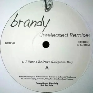 洋楽 Brandy - I Wanna Be Down Delegation Mix Brandy - I Wanna Be Down (feat. Queen Latifah, Yo-Yo & MC