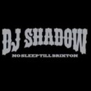 DJ SHADOW / DJシャドウ / NO SLEEP TILL BRIXTON