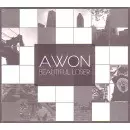 AWON / エイウォン / BEAUTIFUL LOSER