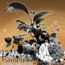 TSUNENORI / ツネノリ / FOREST BATHING