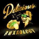 V.A. (RMXXOLOGY... DELICIOUS VINYL ALL-STARS) / DELICIOUS VINYL ALL-STARS