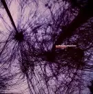 JOE MCDUPHREY (YESTERDAYS NEW QUINTET) / EXPERIENCE EP