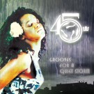45 KING / 45キング (DJ マーク・ザ・45・キング) / GROOVES FOR A QUIET STORM