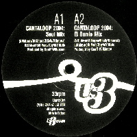 US3 / CANTALOOP 2004