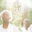 PLATINUM PIED PIPERS (WAAJEED & SAADIQ) / ABUNDANCE アナログ2LP