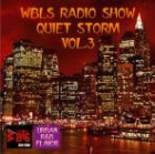 V.A. (WBLS RADIO SHOW QUIET STORM) / WBLS RADIO SHOW QUIET STORM VOL.3