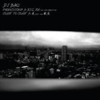 DJ BAKU / PHOENIXION 09 ft.B.I.G. JOE / COAST TO COAST ft.漢、般若